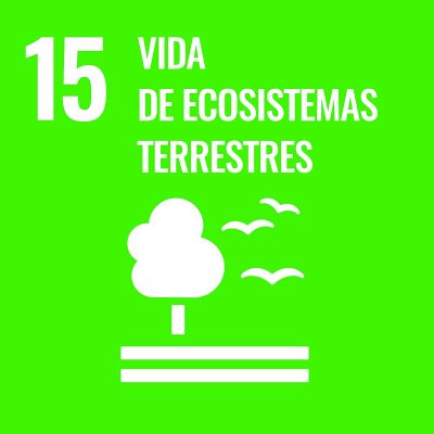 1200px-Sustainable_Development_Goal-es-03