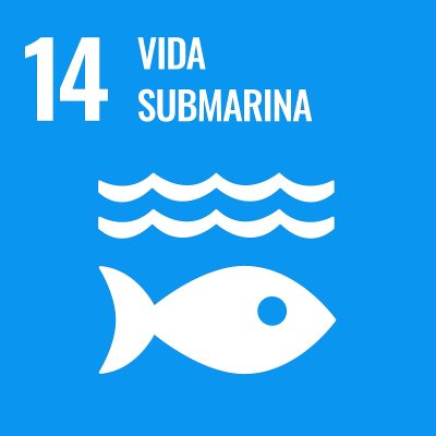 1200px-Sustainable_Development_Goal-es-04